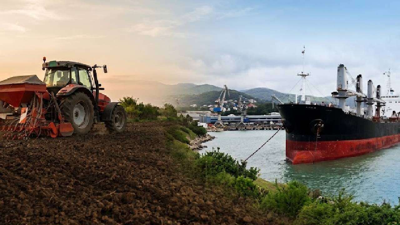 Dünya buğday ticaretinde yüzde 1’den fazla paya sahipti: Türkiye'nin tarım devi resmen iflas etti 2